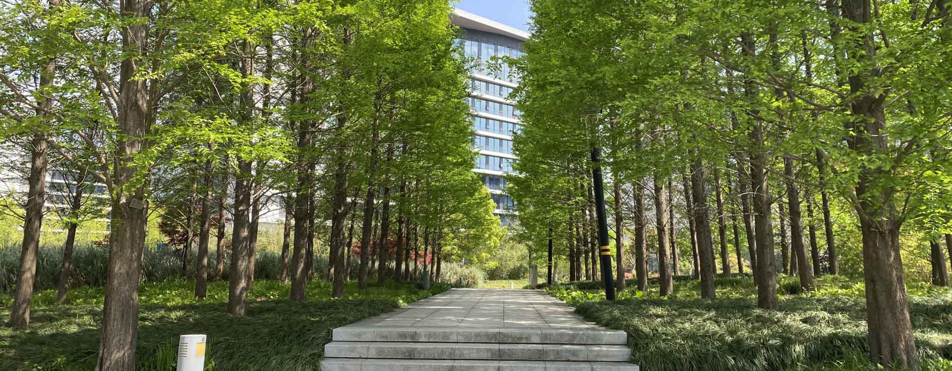 临港浦江科技广场外观环境