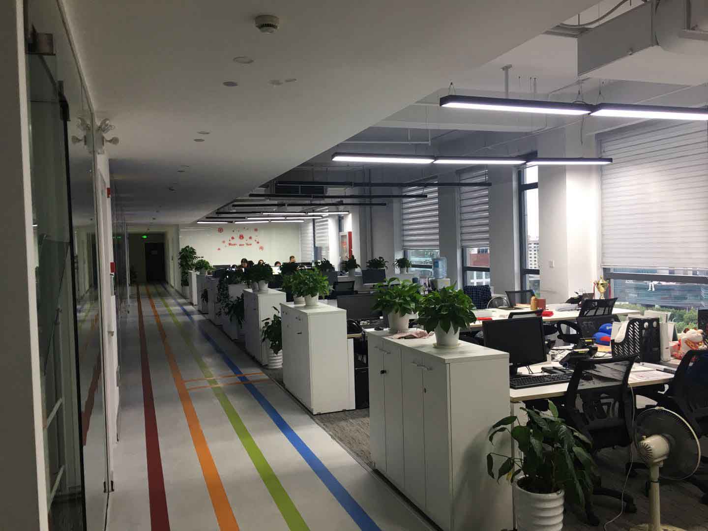 张江光大园2000㎡